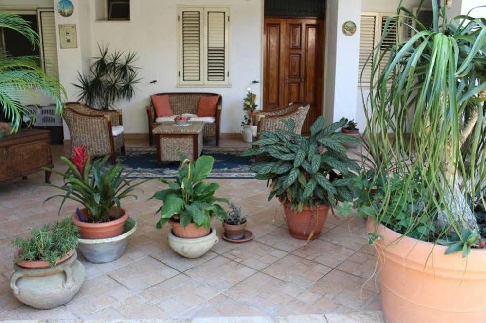 Hotel Mistef Falerna Ngoại thất bức ảnh